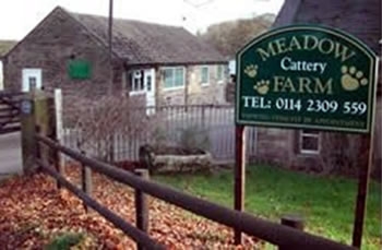 Meadow Farm Cattery Sheffield, South Yorkshire.